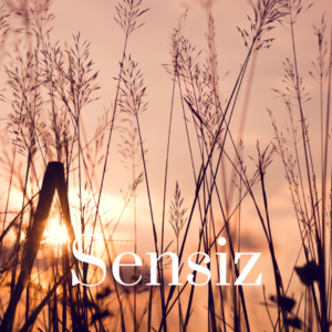 Mini cursus - Grip op de overgang - ACTIEPRIJS